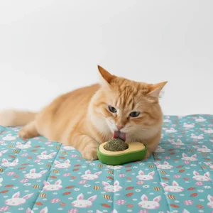 Skatrs Avocado Catnip Ball Toy for Cats