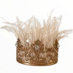 Zsa Zsa Glamour Girl Crown for Dogs by Bark Fifth Avenue