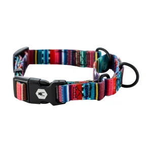 Quetzal Martingale Dog Collar