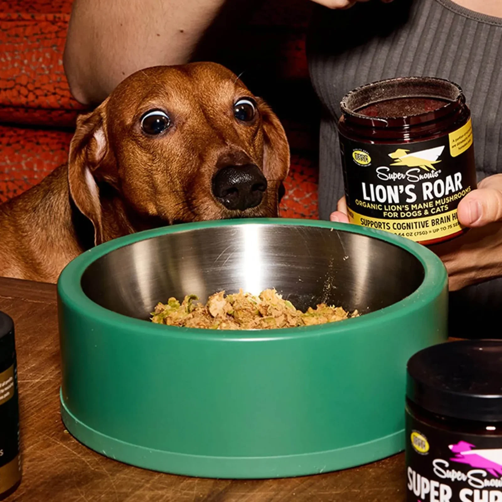 Super Snouts Lion's Roar Organic Lion's Mane Cognitive Support Powder for Dogs & Cats - Image 2