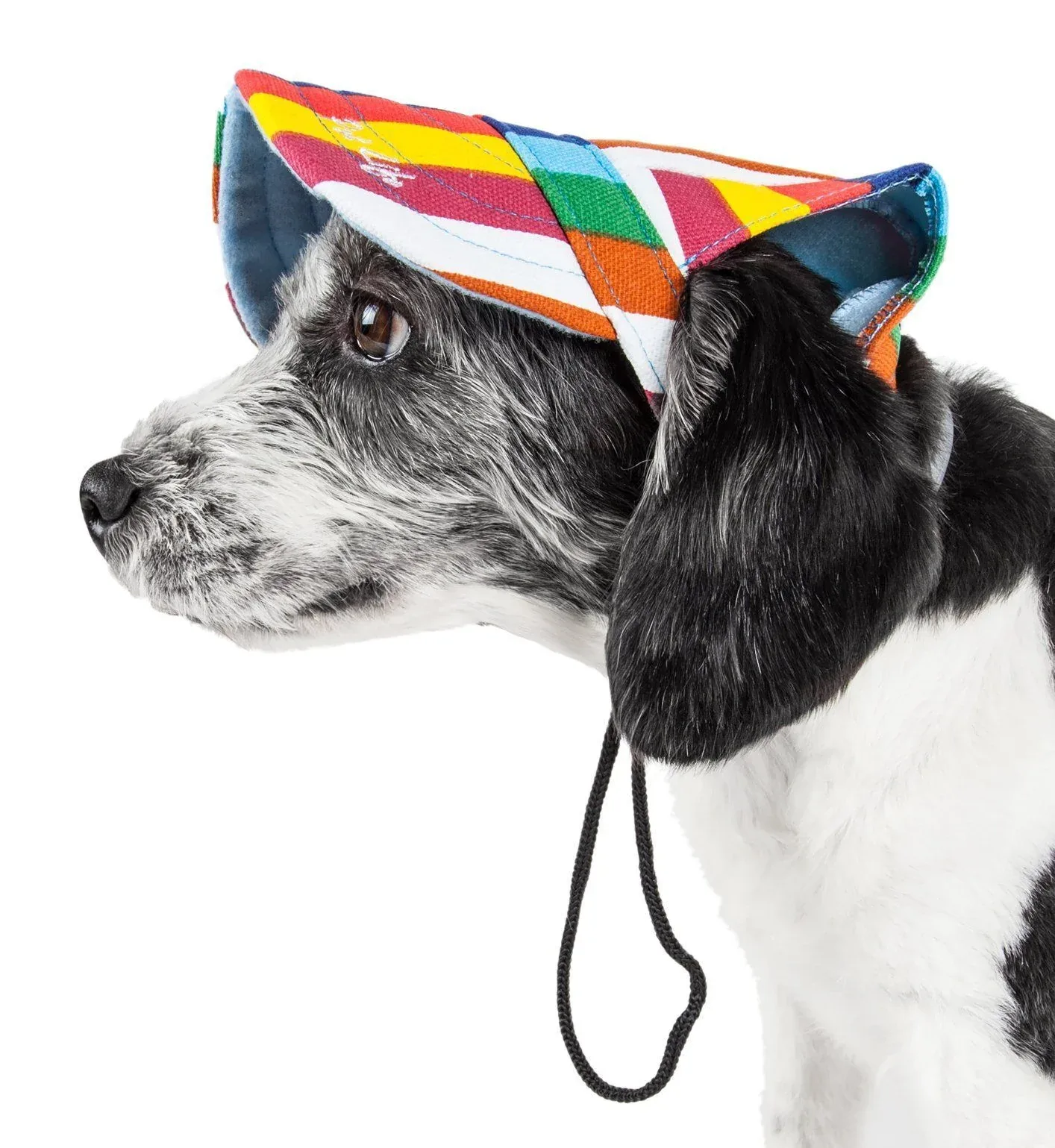Pet Life ® 'Colorfur' Floral UV Protectant Adjustable Fashion Dog Hat Cap