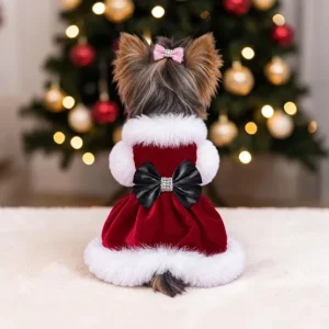 Velvet Santa Baby Dog Dress