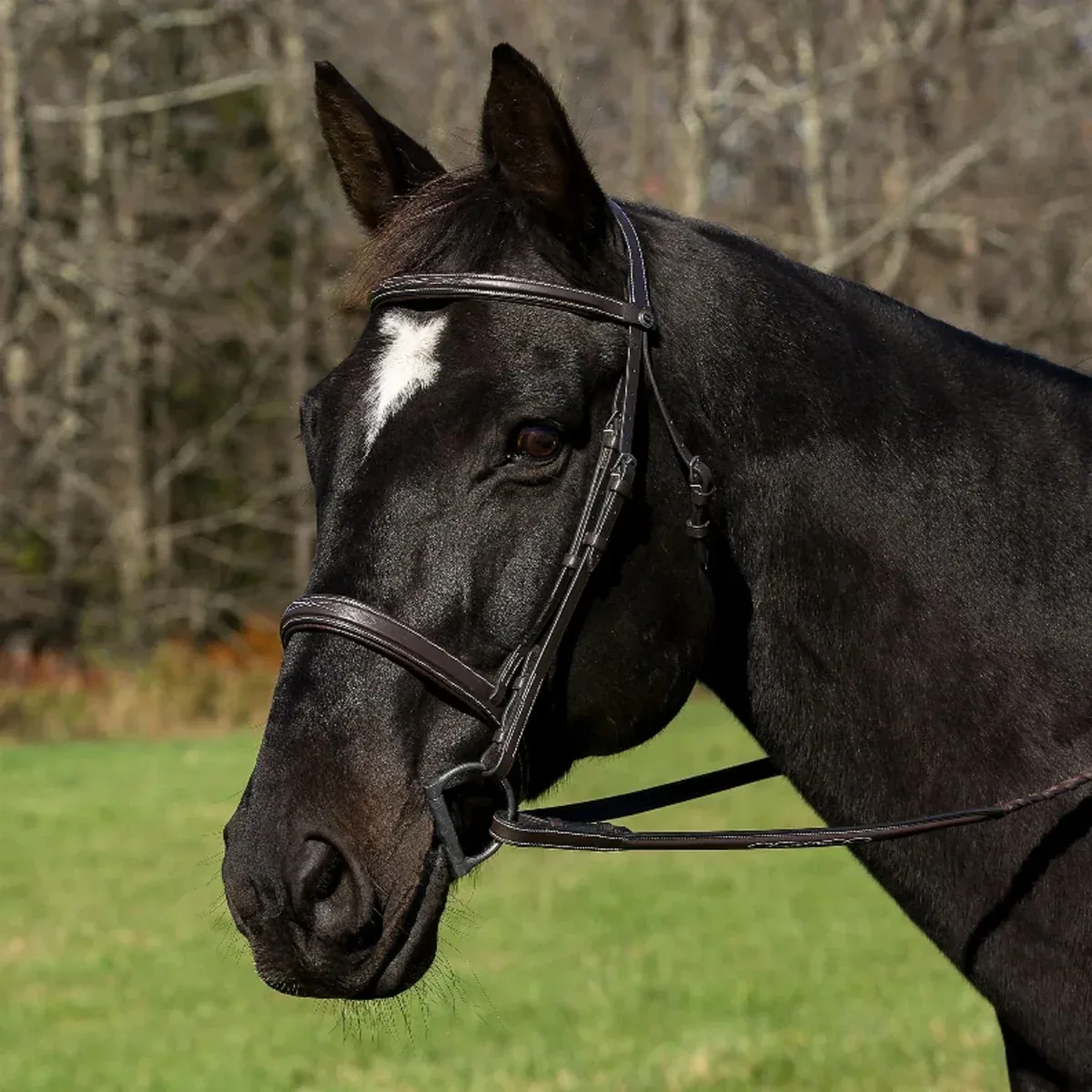 Henri de Rivel Pro Mono Crown Bridle with Padded Wide Noseband and Laced Reins - Hunter Show Bridle with Fancy Stitching - Image 2
