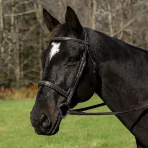 Henri de Rivel Pro Mono Crown Bridle with Padded Wide Noseband and Laced Reins - Hunter Show Bridle with Fancy Stitching