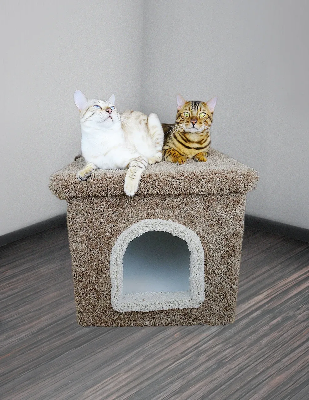 Premier Litter Box Enclosure | Extra Large Hidden Cat Litter Box Furniture - Image 2