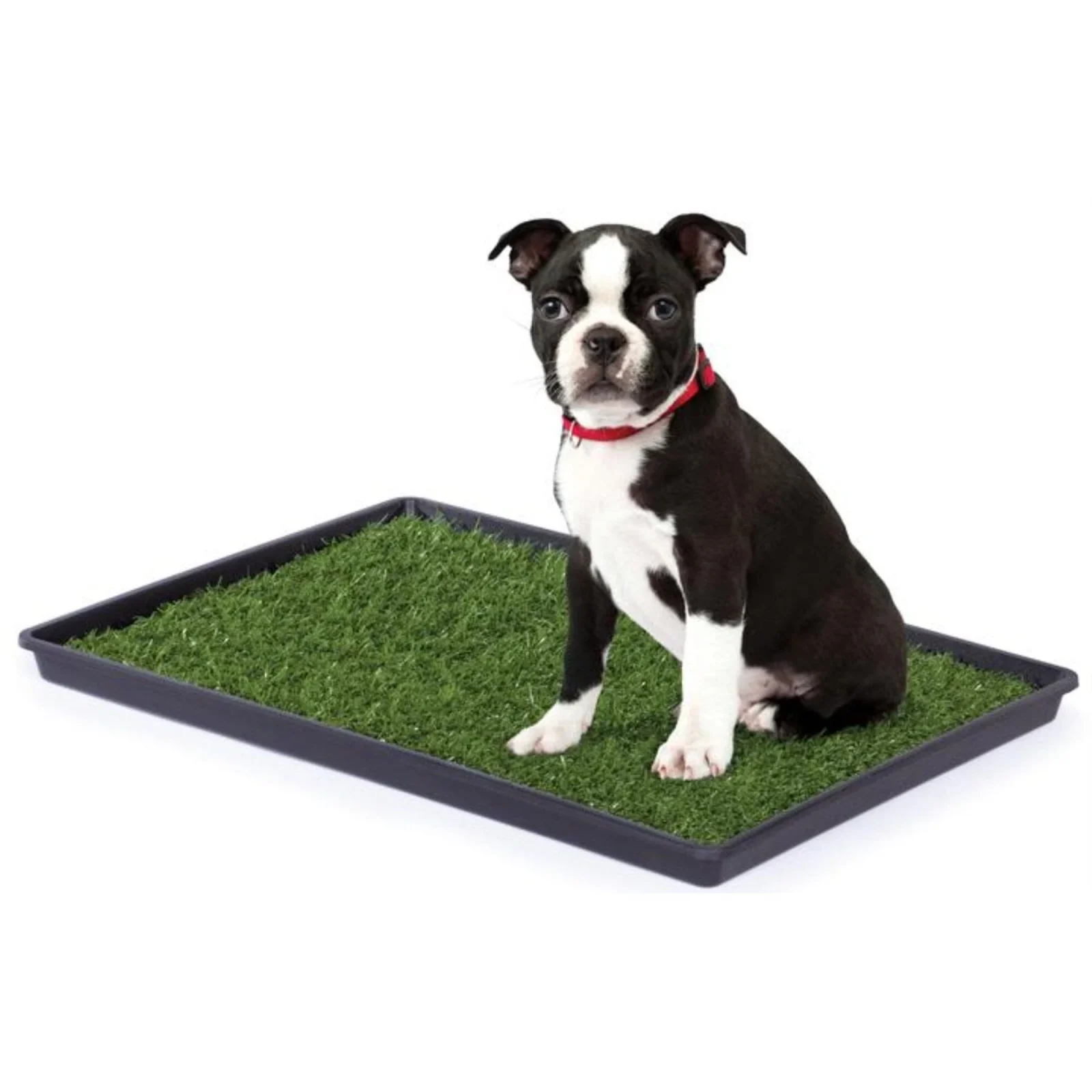 Prevue Pet Products Tinkle Turf Indoor Portable Faux-Grass Pee Turf with Tray