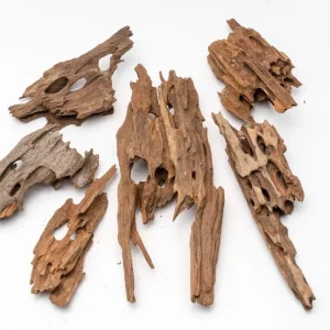 Dragon Wood