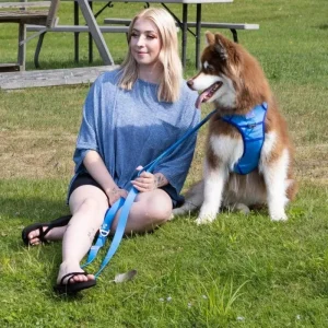 Aria the Fox Dockside Adventures No-Pull Dog Harness - Ultimate Comfort