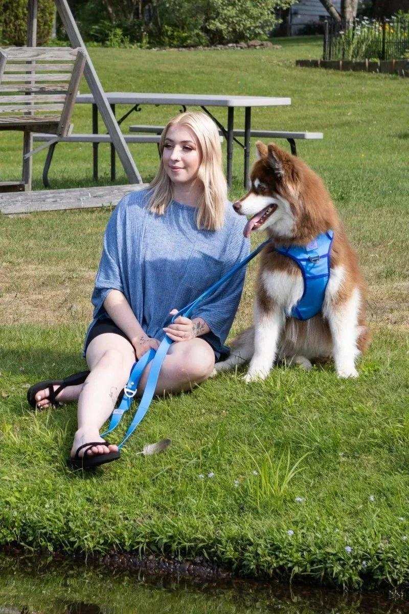 Aria the Fox Dockside Adventures No-Pull Dog Harness - Ultimate Comfort