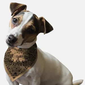 BanDoggie Sand Paisley Western Dog Bandana - Soft Microfiber, Made in USA