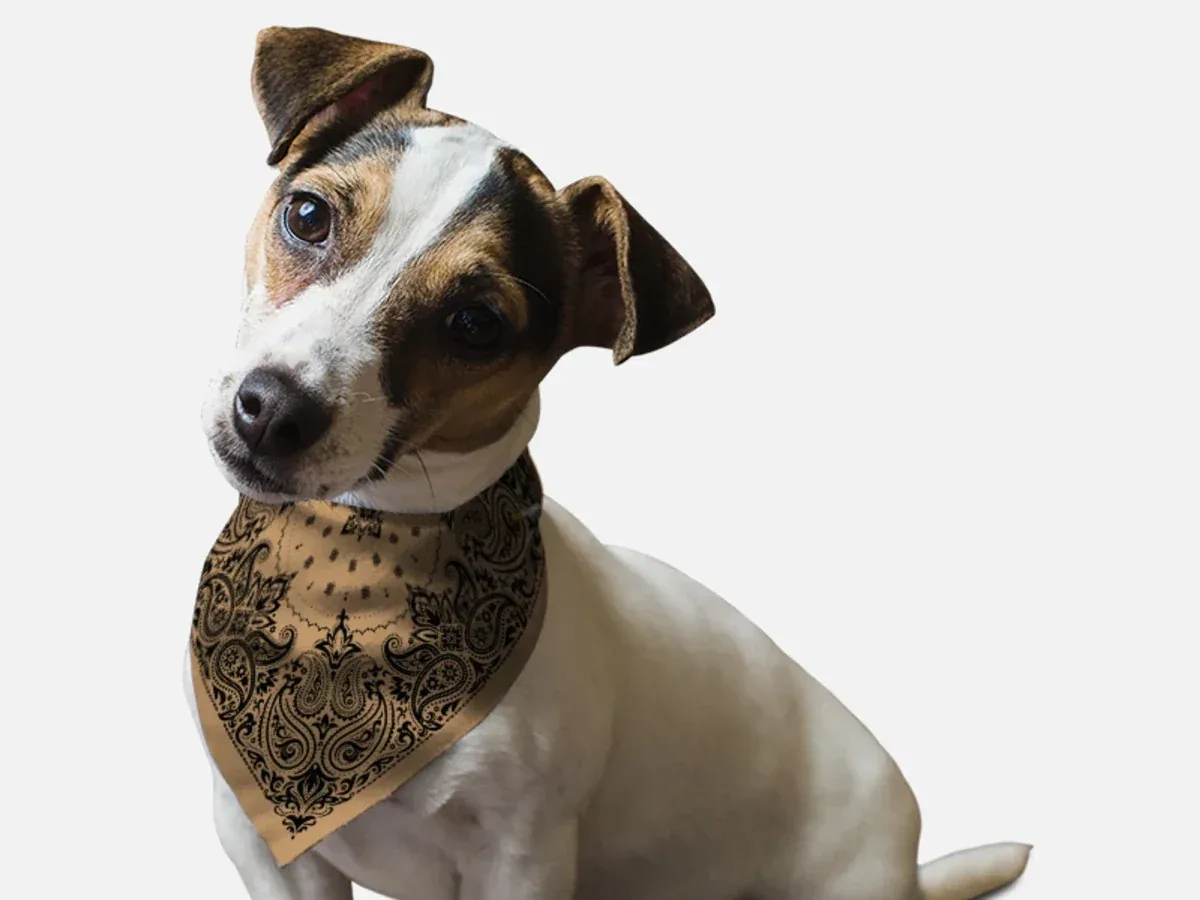 BanDoggie Sand Paisley Western Dog Bandana - Soft Microfiber, Made in USA