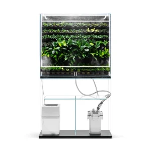 UNS Foresta Plant Holding System - 132