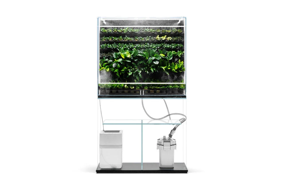 UNS Foresta Plant Holding System - 132