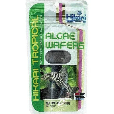 Hikari Algae Wafers - 2.2 lb