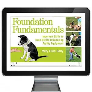 Clean Run Foundation Fundamentals