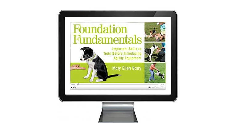 Clean Run Foundation Fundamentals