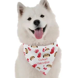 BanDoggie Cutest Valentine Dog Bandana - Soft Microfiber Pet Bandana, Made in USA