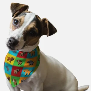 BanDoggie Park Snazzenue Dog Bandana