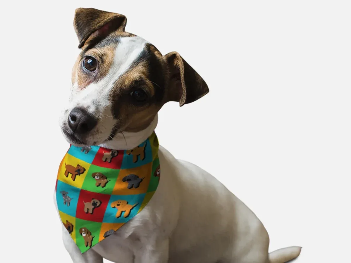 BanDoggie Park Snazzenue Dog Bandana