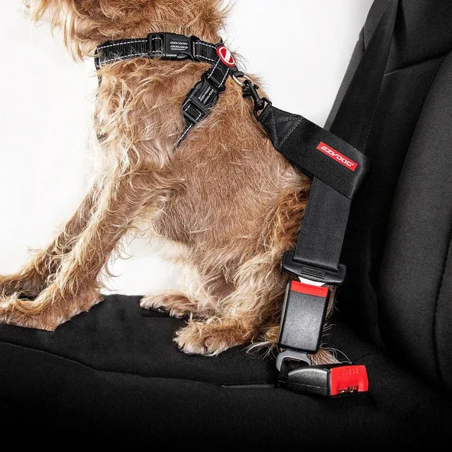 Seat Belt Restraint - Image 2