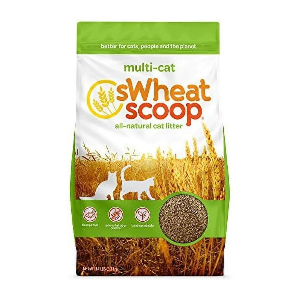 Swheat Scoop Multi-Cat Superior Clumping Odor Neutralizing Enzymes Natural Wheat Cat Litter - Image 2