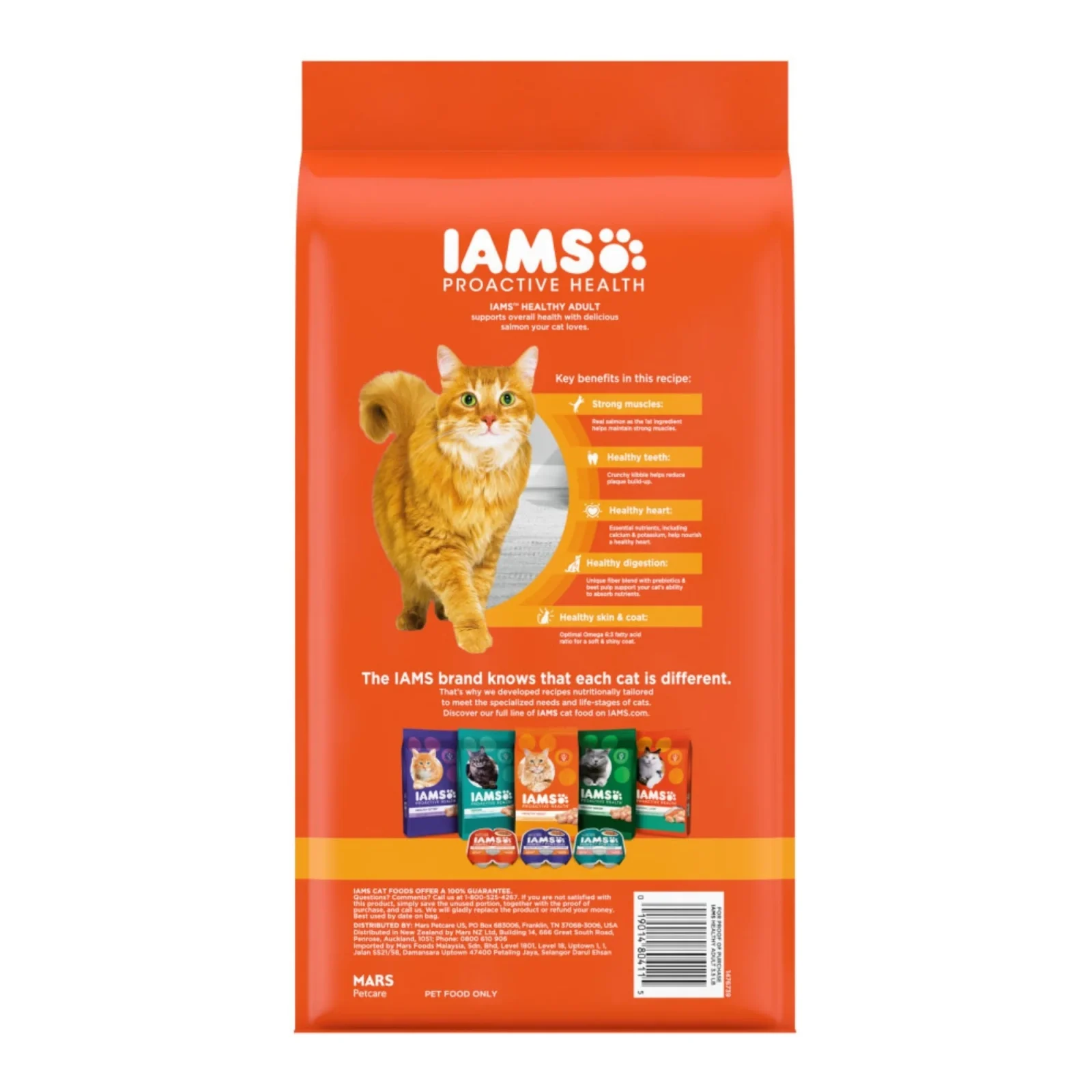 IAMS Proactive Health Adult Dry Cat Food Salmon, 3.5 lb - Image 2