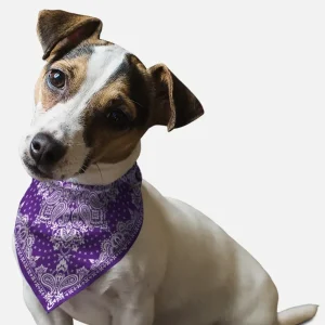 BanDoggie Violet Paisley Dog Bandana - Western-Inspired Microfiber Pet Bandana
