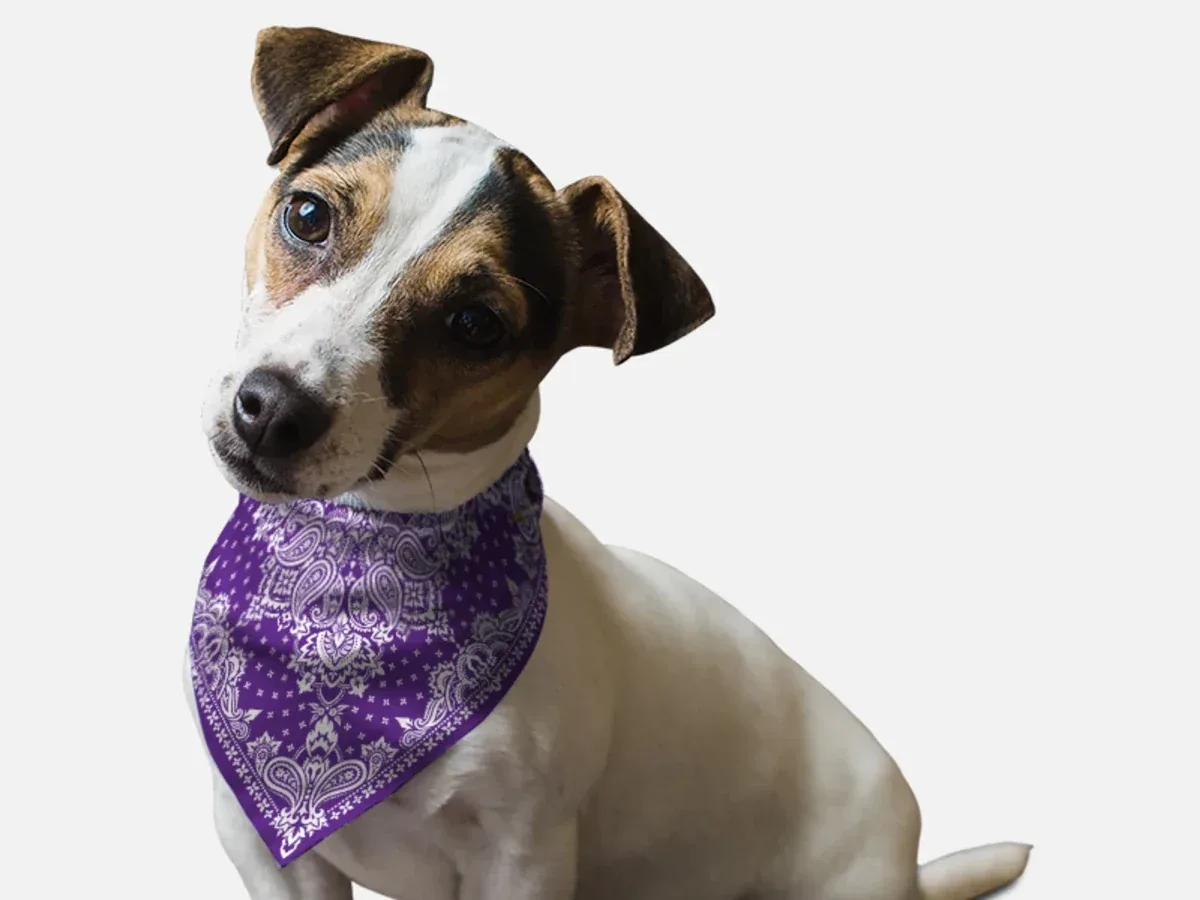 BanDoggie Violet Paisley Dog Bandana - Western-Inspired Microfiber Pet Bandana