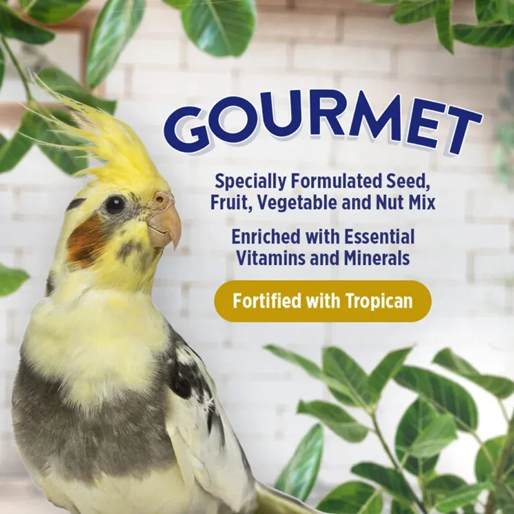 Hagen Tropican Hari Gourmet Seed Fruit Veg Mix - Image 2