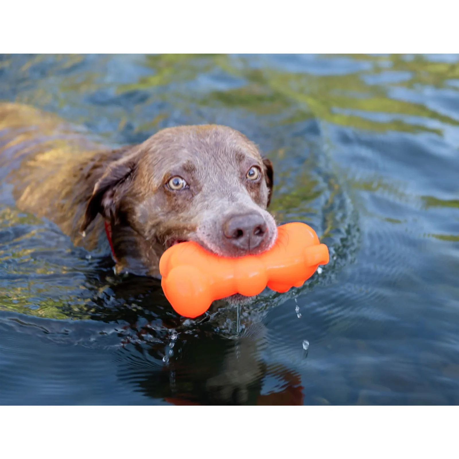 Ruff Dawg Treat-Fillable Rubber Dog Toy - Image 2