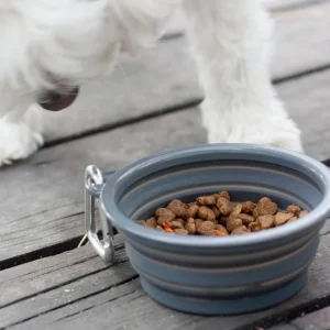Prima Collapsible Water Bowl