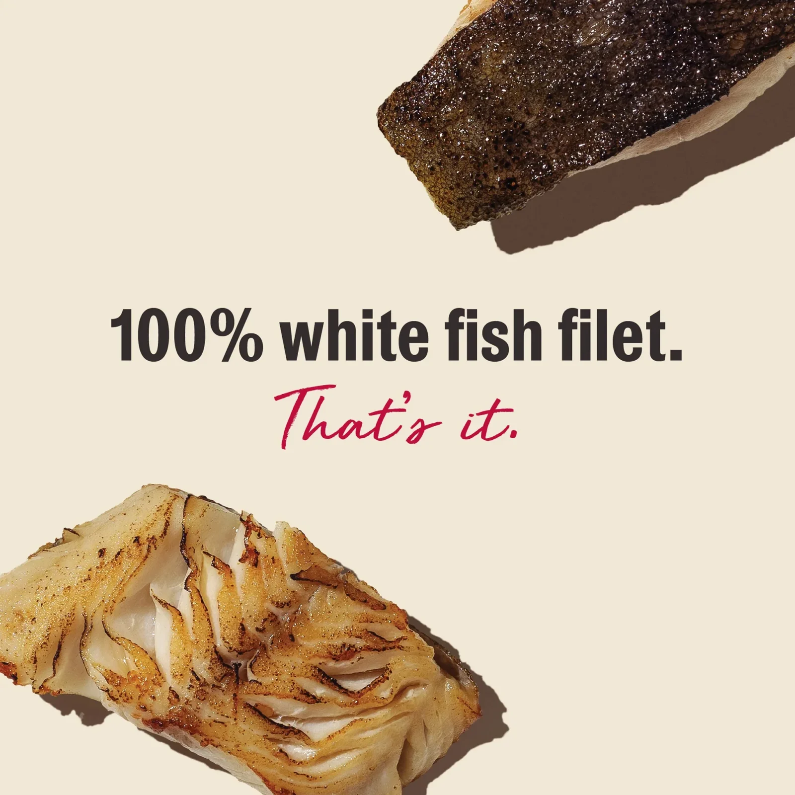 The Honest Kitchen White Fish Flavored Wishes Grain Free for Dog & Cat Treats - Image 2