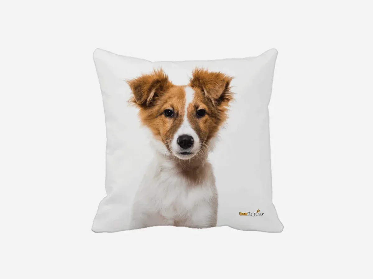 Australian Shepard Puppy Throw Pillow - Image 2