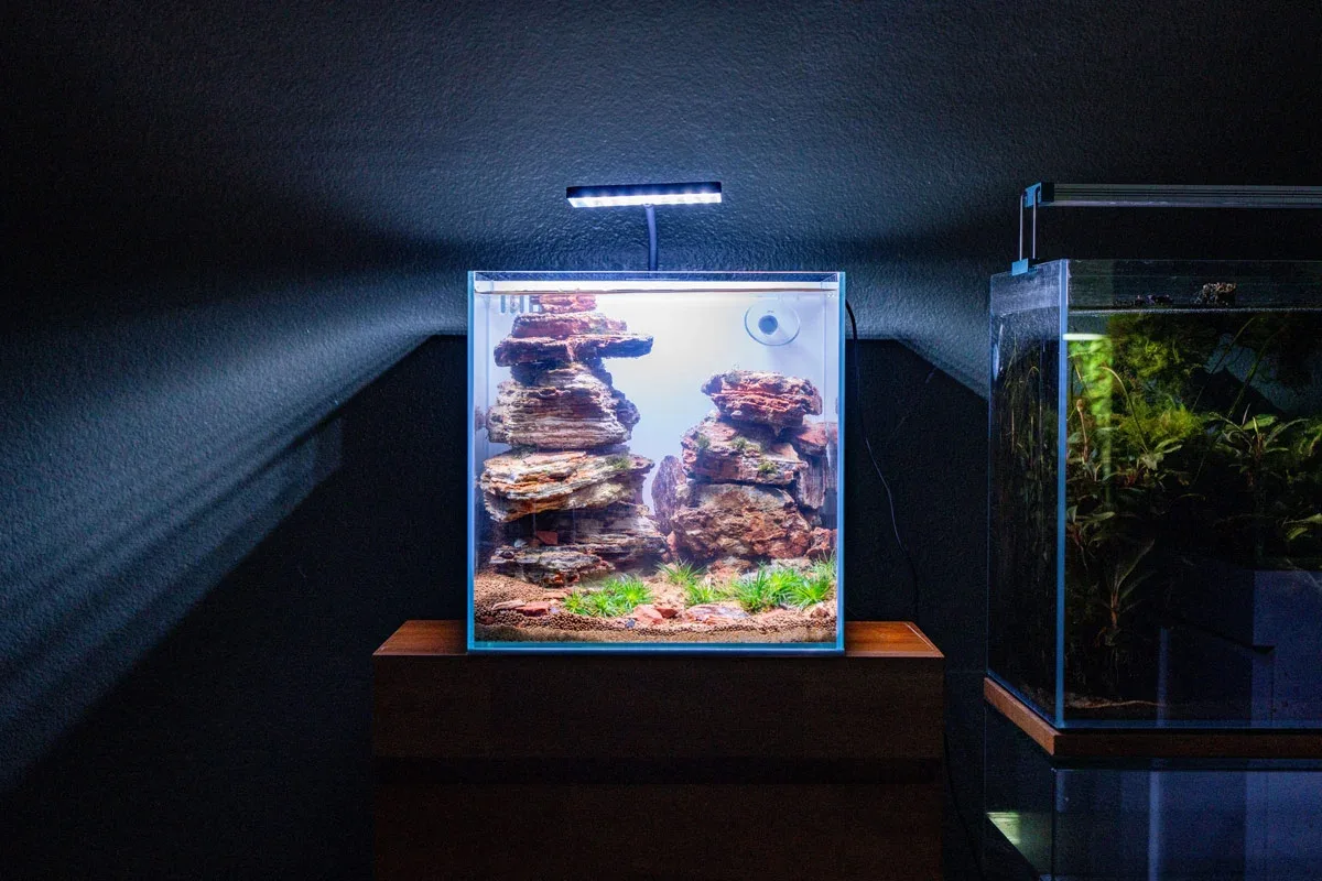 UNS 30A - 5.5 Gallon Ultra Clear All In One Rimless Aquarium - White - Image 2