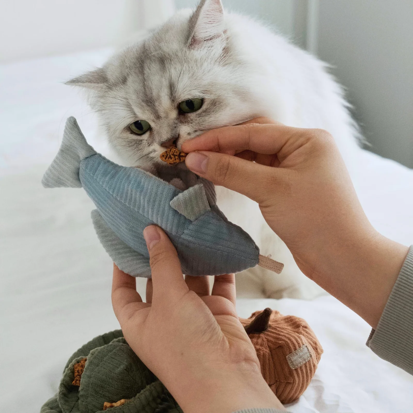 KITTY TROUT - Image 2