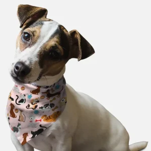 BanDoggie Play Time Dog Bandana - Soft Microfiber, Made in USA