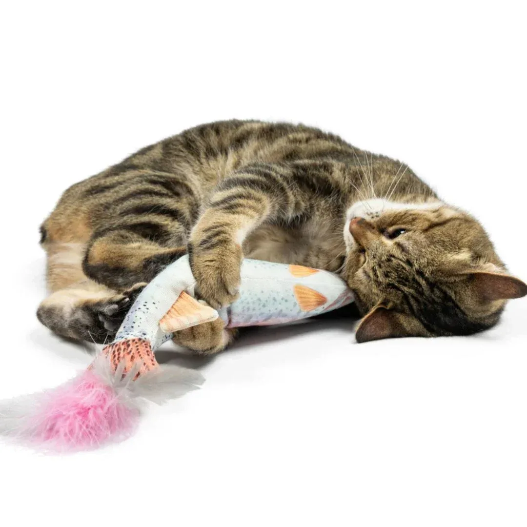 H&K C Kicker Rainbow Trout Organic Catnip Plush Crinkle - Image 2