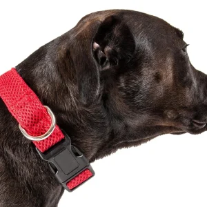 Pet Life ® 'Aero Mesh' Dual-Sided Breathable and Adjustable Thick Mesh Dog Collar