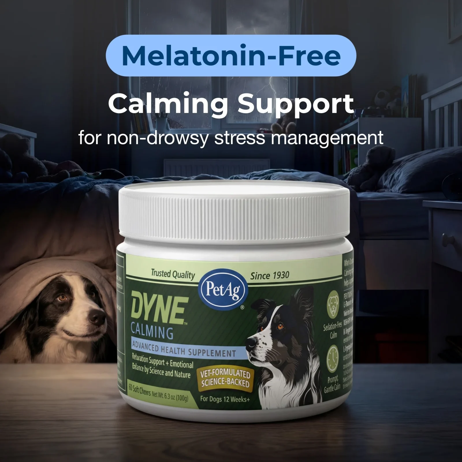 PetAg Dyne Soft Chews Calming Support and Stress Relief - Image 2