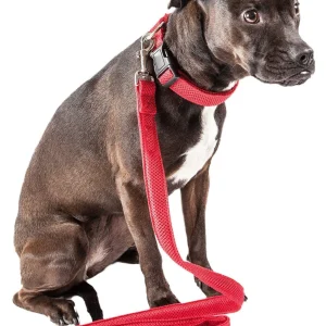 Pet Life ® 'Aero Mesh' 2-In-1 Breathable and Adjustable Dual-Sided Mesh Dog Leash and Collar