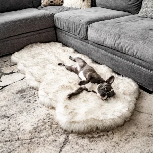 PupRug® Runner Faux Fur Memory Foam Dog Bed - Curve White with Brown Accents