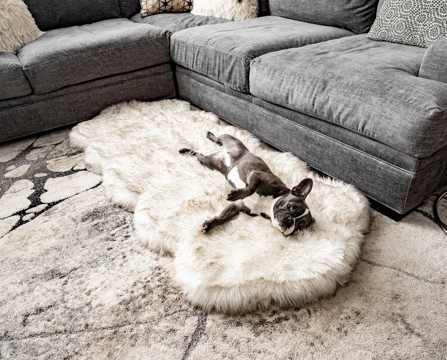 PupRug® Runner Faux Fur Memory Foam Dog Bed - Curve White with Brown Accents