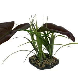 Komodo Rainforest Canopy Plant, 10 in