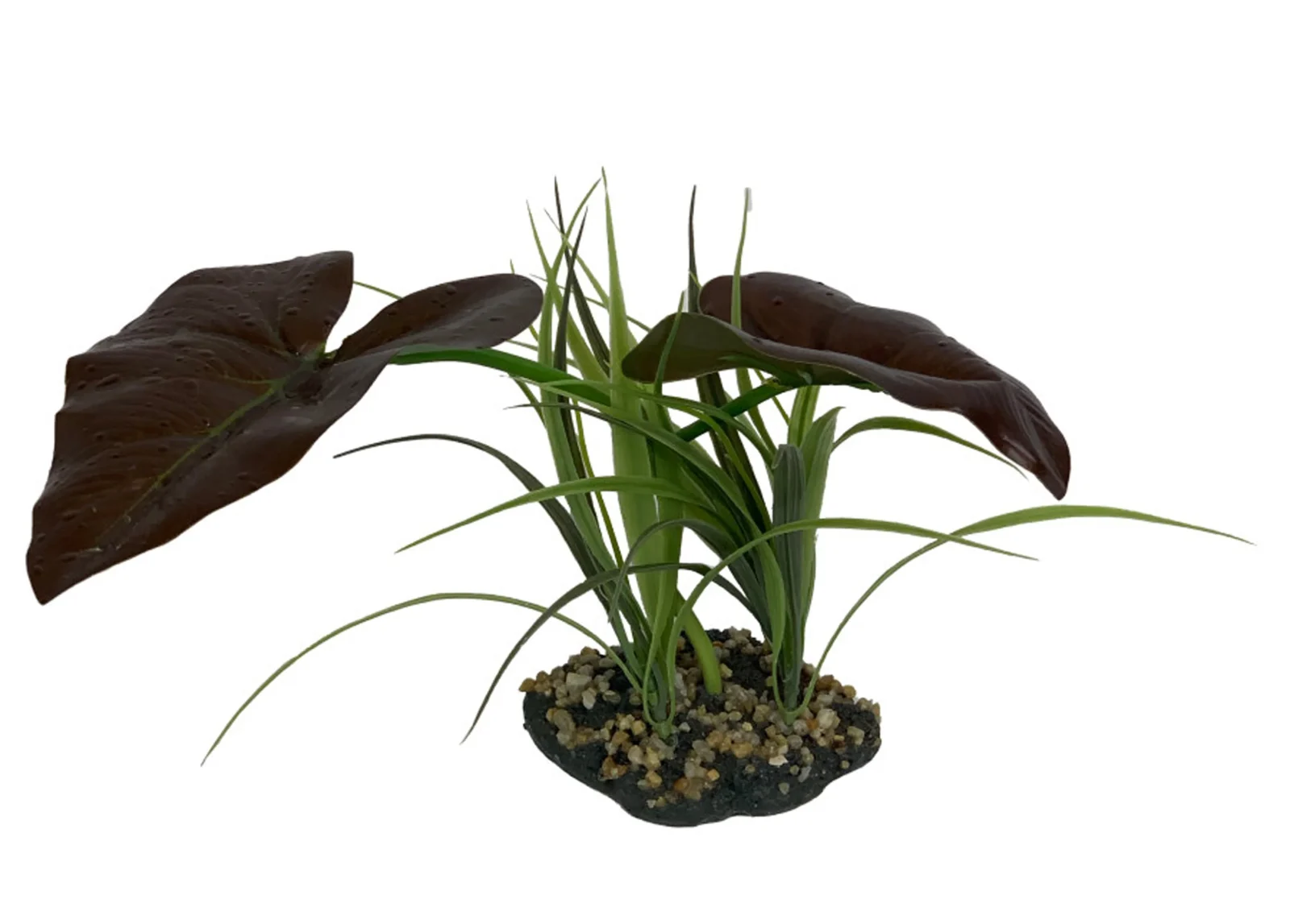 Komodo Rainforest Canopy Plant, 10 in