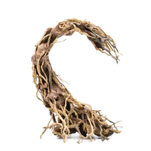 Crescent Shaped Bonsai Tree Aquarium Driftwood