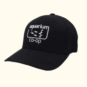 Aquarium Co-Op Black Baseball Hat