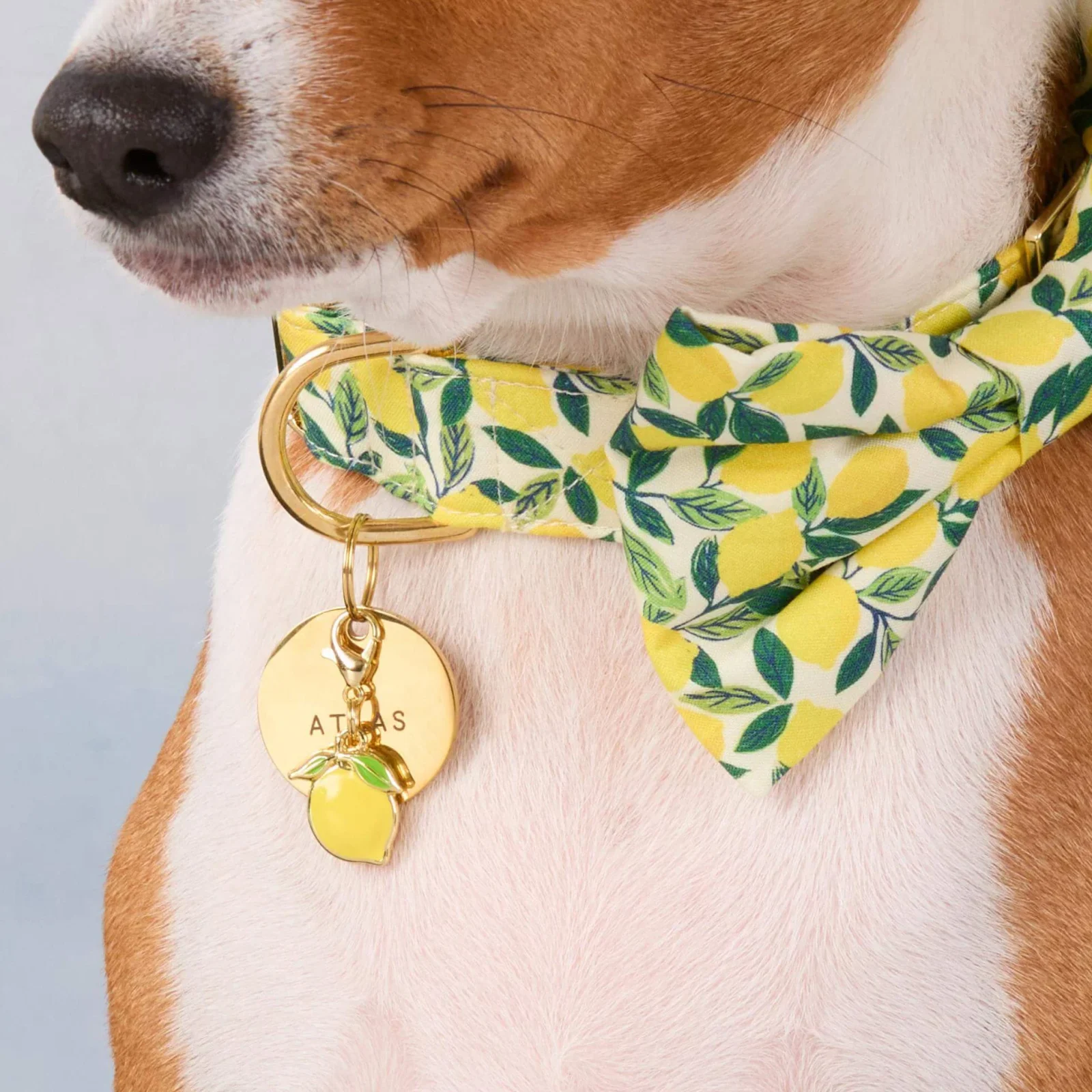 Lemon Collar Charm - Image 2