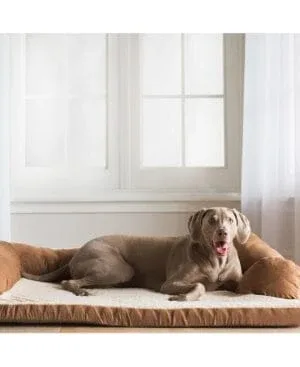Petmate Aspen Bolster Orthopedic Couch-style Dog Bed - Assorted Color
