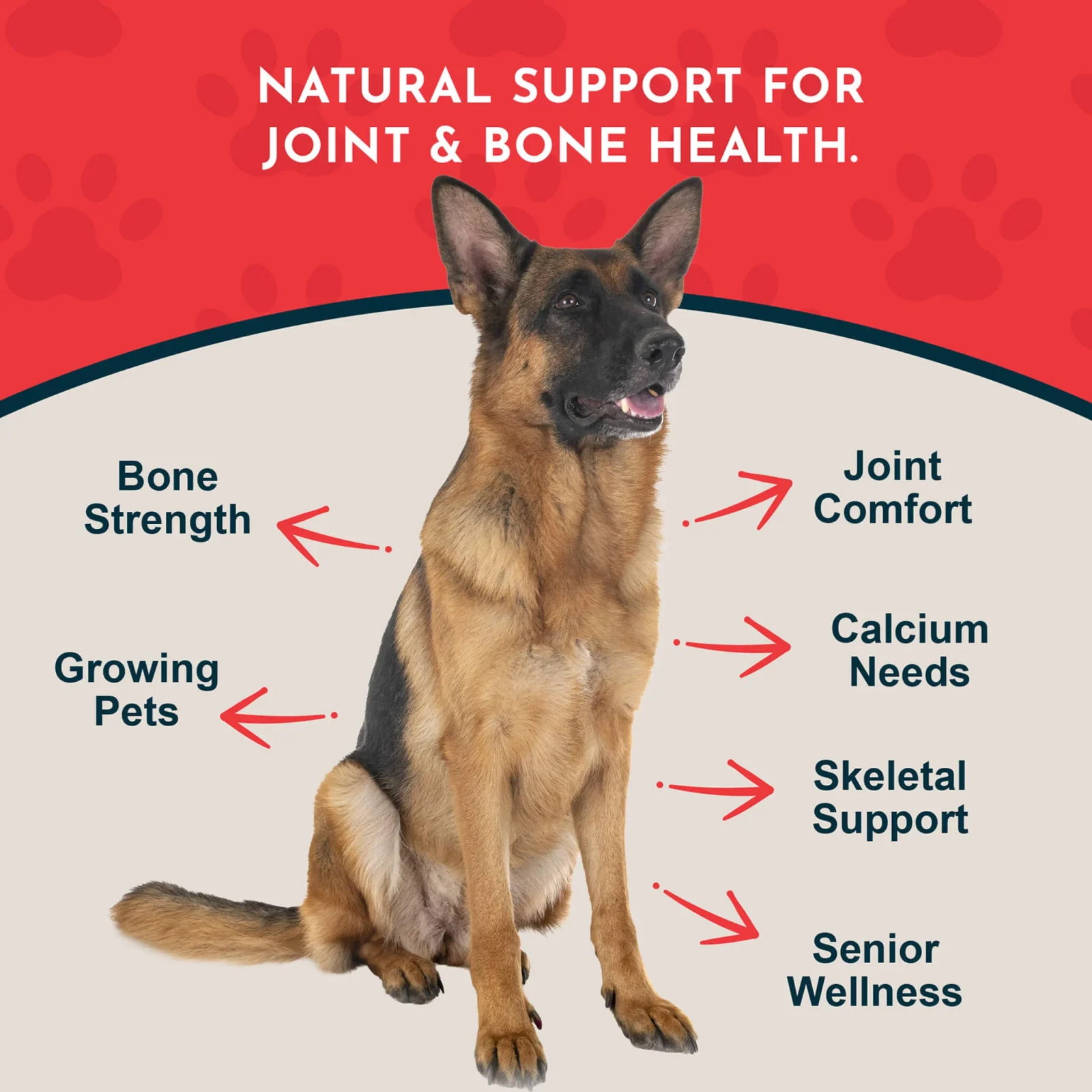 Animal Essentials Sea-Cal Seaweed Calcium Powder Supplement for Dogs & Cats - Image 2