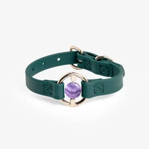 All Eyes On Me Dog Collar